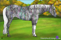 Horse Color:Gray Chestnut Ice 