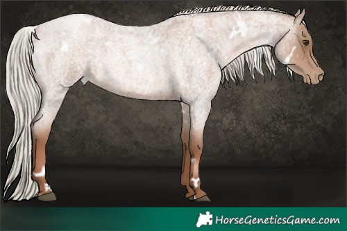 Horse Color:White Spotted Silver Blue Roan Pearl 