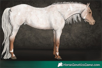 Horse Color:White Spotted Silver Blue Roan Pearl 