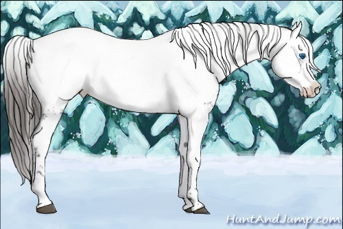 Horse Color:Liver Red Roan Frame 