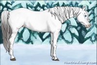 Horse Color:Liver Red Roan Frame 