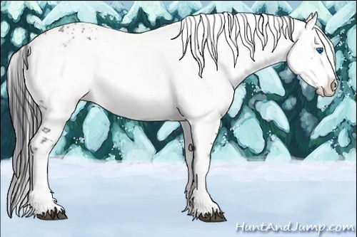 Horse Color:Black Frame 