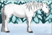 Horse Color:Black Frame 
