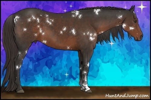 Horse Color:White Spotted Liver Chestnut 