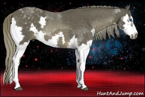 Horse Color:Liver Chestnut Splash Frame