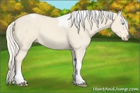 Horse Color:Cremello Tobiano