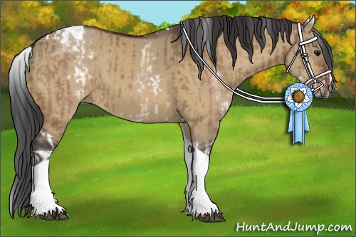 Horse Color:White Spotted Bay Dun Tobiano Rabicano  and White Spotted Bay Dun Tobiano Rabicano 