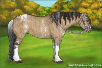 Horse Color:White Spotted Bay Dun Tobiano Rabicano  and White Spotted Bay Dun Tobiano Rabicano 