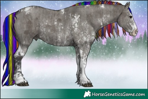 Horse Color:Painted Grullo Sabino Tobiano Rabicano  and Painted Grullo Sabino Tobiano Rabicano 