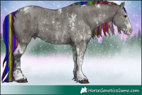 Horse Color:Painted Grullo Sabino Tobiano Rabicano  and Painted Grullo Sabino Tobiano Rabicano 