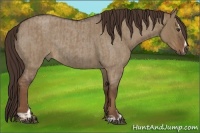 Horse Color:Liver Red Dun Roan Sabino Rabicano  and Liver Red Dun Roan Sabino Rabicano 