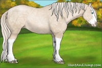 Horse Color:Palomino Ice Pearl Splash Rabicano 