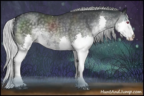 Horse Color:Silver Black Chinchilla Splash Rabicano 