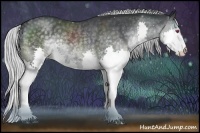 Horse Color:Silver Black Chinchilla Splash Rabicano 