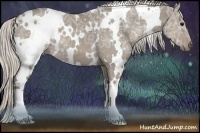 Horse Color:White Spotted Silver Smoky Grullo Ice