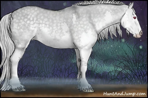 Horse Color:Silver Smoky Grullo Chinchilla Roan Splash Rabicano