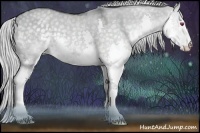 Horse Color:Silver Smoky Grullo Chinchilla Roan Splash Rabicano 