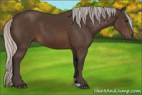 Horse Color:Silver Brown 