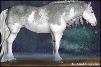 Horse Color:White Spotted Silver Black Chinchilla Splash 