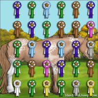 Horse Color:White Spotted Black Pearl Sabino Rabicano