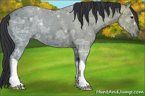 Horse Color:Black Ice 