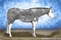 Horse Color:Black Ice Sabino Splash
