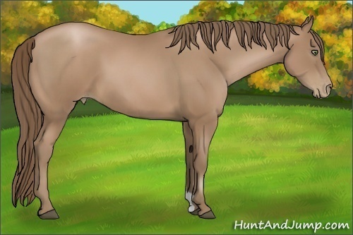 Horse Color:Black Pearl 