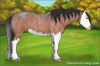 Horse Color:Brown Roan Splash 