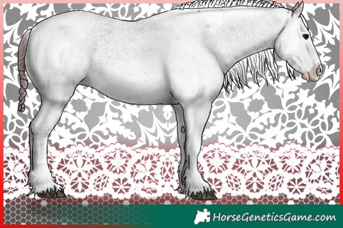 Horse Color:Chocolate Black Sabino Rabicano Brindle
