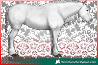 Horse Color:Chocolate Black Sabino Rabicano  Brindle