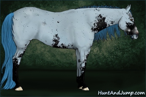 Horse Color:ERROR: UNKNOWN ANOMALY