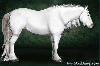 Horse Color:White Spotted Liver Red Dun Sabino Appaloosa 