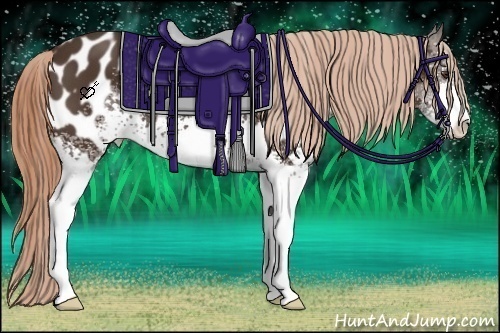 Horse Color:White Spotted Liver Chestnut Sabino Near Leopard