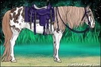 Horse Color:White Spotted Liver Chestnut Sabino Near Leopard 