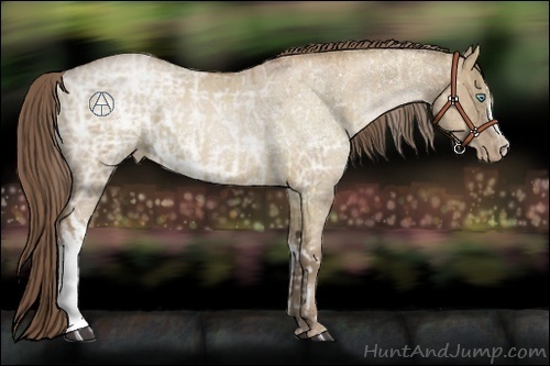 Horse Color:Grullo Ice Pearl Rabicano and Grullo Ice Pearl Rabicano