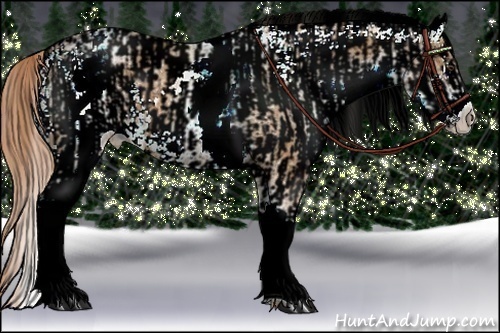 Horse Color:White Spotted Chestnut  and White Spotted Chestnut 