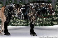 Horse Color:White Spotted Chestnut  and White Spotted Chestnut 