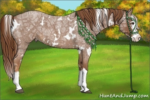 Horse Color:White Spotted Red Ice Roan Splash