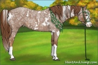 Horse Color:White Spotted Red Ice Roan Splash 