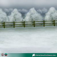 Horse Color:Chocolate Silver Brown Chinchilla Mushroom 