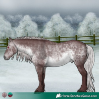 Horse Color:Chocolate Silver Brown Chinchilla Mushroom 
