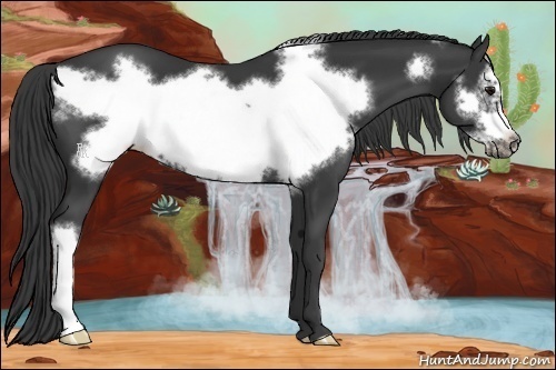 Horse Color:Smoky Black Frame 