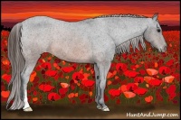 Horse Color:Brown Appaloosa