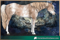 Horse Color:White Spotted Liver Chestnut Ice Pearl  Brindle