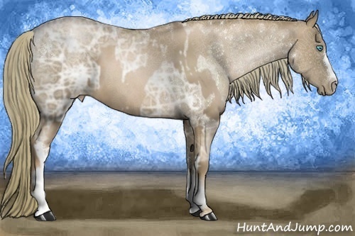 Horse Color:Liver Chestnut Ice Pearl  and Liver Chestnut Ice Pearl 
