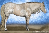 Horse Color:Liver Chestnut Ice Pearl and Liver Chestnut Ice Pearl