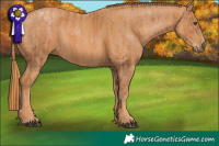 Horse Color:Chocolate Brown Pearl  Brindle