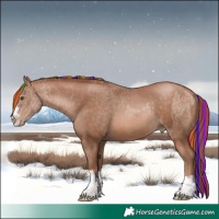 Horse Color:Painted Chocolate Brown Pearl  and Painted Chocolate Brown Pearl 
