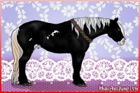 Horse Color:Nacre Watercolor Bay Ice Pearl Sabino Appaloosa  and Nacre Watercolor Bay Ice Pearl Sabino Appaloosa 