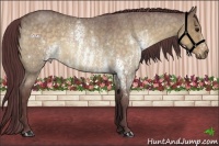 Horse Color:White Spotted Chocolate Buckskin Roan Dun  Brindle